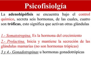 Psicofisiolgía
La adenohipófisis se encuentra bajo el control
químico, secreta seis hormonas, de las cuales, cuatro
son tróficas, esto significa que activan otras glándulas
1.- Somatotropina. Es la hormona del crecimiento
2.- Prolactina. Inicia y mantiene la secreción de las
glándulas mamarias (no son hormonas trópicas)
3 y 4.- Gonadotropinas u hormonas gonadotrópicas
 