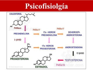 Psicofisiolgía
 