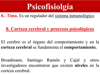 Psicofisiolgía
8.- Timo. Es un regulador del sistema inmunológico
8. Corteza cerebral y procesos psicológicos
El cerebro es el órgano del comportamiento y en la
corteza cerebral se fundamenta el comportamiento.
Broadmann, Santiago Ramón y Cajal y otros
investigadores encontraron que existen niveles en la
corteza cerebral.
 