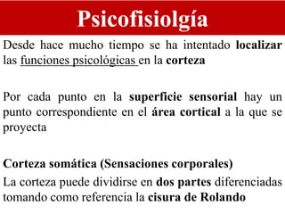 Psicofisiolgía
Desde hace mucho tiempo se ha intentado localizar
las funciones psicológicas en la corteza
Por cada punto en la superficie sensorial hay un
punto correspondiente en el área cortical a la que se
proyecta
Corteza somática (Sensaciones corporales)
La corteza puede dividirse en dos partes diferenciadas
tomando como referencia la cisura de Rolando
 