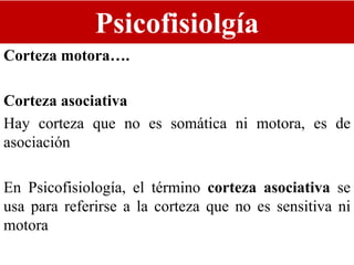 Psicofisiolgía
Corteza motora….
Corteza asociativa
Hay corteza que no es somática ni motora, es de
asociación
En Psicofisiología, el término corteza asociativa se
usa para referirse a la corteza que no es sensitiva ni
motora
 