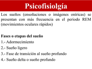 Psicofisiolgía
Los sueños (ensoñaciones o imágenes oníricas) se
presentan con más frecuencia en el periodo REM
(movimientos oculares rápidos)
Fases o etapas del sueño
1.- Adormecimiento
2.- Sueño ligero
3.- Fase de transición al sueño profundo
4.- Sueño delta o sueño profundo
 