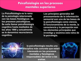 Psicofisiologia en los procesos
mentales superiores
La Psicofisiología es la rama
de la psicología relacionada
con las bases fisiológicas de
los procesos psicológicos.
Se solía llamar psicofisiología
cognitiva hasta mediados de
los años 1990 y actualmente
se le denomina neurociencia
cognitiva.
la psicofisiología resulta una
disciplina más concreta que estaría
interesada en los procesos
mentales y fisiológicos
responsables del temor a las
arañas.
Los principios generales del
procesamiento de la información
sensorial son una de las bases de
la psicofisiología como ciencia.
El funcionamiento de la mente, la
consciencia y la percepción son
los elementos principales que
investiga y examina esta rama de
la psicología.
 