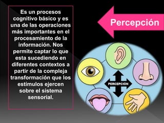 Percepción
Es un procesos
cognitivo básico y es
una de las operaciones
más importantes en el
procesamiento de la
información. Nos
permite captar lo que
esta sucediendo en
diferentes contextos a
partir de la compleja
transformación que los
estímulos ejercen
sobre el sistema
sensorial.
 
