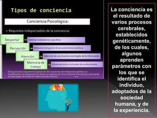 La conciencia es
el resultado de
varios procesos
cerebrales,
establecidos
genéticamente,
de los cuales,
algunos
aprenden
parámetros con
los que se
identifica el
individuo,
adoptados de la
sociedad
humana, y de
la experiencia.
 