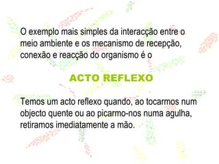 O exemplo mais simples da interacção entre o meio ambiente e os mecanismo de recepção, conexão e reacção do organismo é o   ACTO REFLEXO Temos um acto reflexo quando, ao tocarmos num objecto quente ou ao picarmo-nos numa agulha, retiramos imediatamente a mão. 