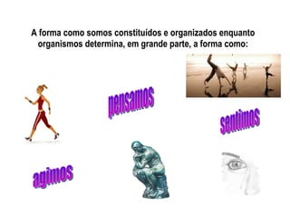 A forma como somos constituídos e organizados enquanto organismos determina, em grande parte, a forma como: pensamos agimos sentimos 