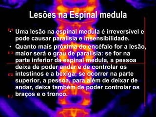 Lesões na Espinal medula Uma lesão na espinal medula é irreversível e pode causar paralisia e insensibilidade. Quanto mais próxima do encéfalo for a lesão, maior será o grau de paralisia: se for na parte inferior da espinal medula, a pessoa deixa de poder andar e de controlar os intestinos e a bexiga; se ocorrer na parte superior, a pessoa, para além de deixar de andar, deixa também de poder controlar os braços e o tronco. 