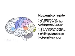 No cérebro reside A memória A aprendizagem O pensamento A linguagem A criatividade É no Cérebro que: O sono e o sonho acontecem Que a fome, a sede e a temperatura são controladas 