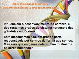 Influenciam o desenvolvimento do cérebro, e dos restantes orgãos do sistema nervoso e das glândulas endócrinas.  Este mecanismos são, em grande parte responsáveis por sermos da forma que somos. Mas será que os genes determinam totalmente os seres humanos? 