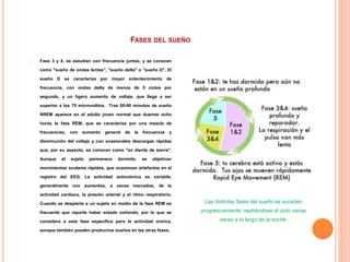 FASES DEL SUEÑO
 Fase 3 y 4, se estudian con frecuencia juntas, y se conocen
como "sueño de ondas lentas", "sueño delta" o "sueño D". El
sueño D se caracteriza por mayor enlentecimiento de
frecuencia, con ondas delta de menos de 5 ciclos por
segundo, y un ligero aumento de voltaje, que llega a ser
superior a los 75 microvoltios. Tras 60-90 minutos de sueño
NREM aparece en el adulto joven normal que duerme ocho
horas la fase REM, que se caracteriza por una mezcla de
frecuencias, con aumento general de la frecuencia y
disminución del voltaje y con ocasionales descargas rápidas
que, por su aspecto, se conocen como "en diente de sierra".
Aunque el sujeto permanece dormido, se objetivan
movimientos oculares rápidos, que ocasionan artefactos en el
registro del EEG. La actividad autonómica es variable,
generalmente con aumentos, a veces marcados, de la
actividad cardiaca, la presión arterial y el ritmo respiratorio.
Cuando se despierta a un sujeto en medio de la fase REM es
frecuente que reporte haber estado soñando, por lo que se
considera a esta fase específica para la actividad onírica,
aunque también pueden producirse sueños en las otras fases.
Las distintas fases del sueño se suceden
progresivamente, repitiéndose el ciclo varias
veces a lo largo de la noche.
 