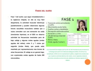 FASES DEL SUEÑO
 Fase 1 del sueño; que sigue inmediatamente a
la vigilancia relajada, en ella es muy fácil
despertarse, la actividad muscular disminuye
paulatinamente y pueden observarse algunas
breves sacudidas musculares súbitas que a
veces coinciden con una sensación de caída
(mioclonías hípnicas), en el EEG se observa
actividad de frecuencias mezcladas pero de
bajo voltaje y algunas ondas agudas (ondas
agudas del vértex), entre 5 y 7 ciclos por
segundo (ondas theta), que puede estar
mezclado por representaciones mas breves de
otras frecuencias. El voltaje es en general bajo,
con ocasionales ondas agudas de hasta 200
microvoltios.
Una herramienta tecnológica que ha sido de vital importancia para el estudio de
la fisiología del sueño es el electroencefalograma (EEG). De forma muy
simplificada, el EEG es el la representación gráfica y digital de las oscilaciones
que muestra la actividad eléctrica del cerebro, al ser registrada mediante
electrodos colocados encima de la piel cabelluda en distintas regiones de la
cabeza.
 