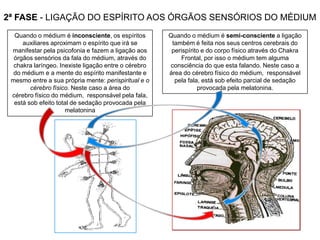 2ª FASE - LIGAÇÃO DO ESPÍRITO AOS ÓRGÃOS SENSÓRIOS DO MÉDIUM
Quando o médium é inconsciente, os espíritos
auxiliares aproximam o espírito que irá se
manifestar pela psicofonia e fazem a ligação aos
órgãos sensórios da fala do médium, através do
chakra laríngeo. Inexiste ligação entre o cérebro
do médium e a mente do espírito manifestante e
mesmo entre a sua própria mente: perispiritual e o
cérebro físico. Neste caso a área do
cérebro físico do médium, responsável pela fala,
está sob efeito total de sedação provocada pela
melatonina

Quando o médium é semi-consciente a ligação
também é feita nos seus centros cerebrais do
perispírito e do corpo físico através do Chakra
Frontal, por isso o médium tem alguma
consciência do que esta falando. Neste caso a
área do cérebro físico do médium, responsável
pela fala, está sob efeito parcial de sedação
provocada pela melatonina.

 
