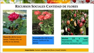 RECURSOS SOCIALES CANTIDAD DE FLORES
Pocas (0 a 3) No busca
apoyo, Trabaja solo, no
confía en los demás.
Promedio (4 a 12) Busca
apoyo, Confía en los
demás
Muchas (13 a más)
Dependiente, No puede
enfrentar estresores solo
Importante: Sumar cantidad de flores (rosal) totales
 