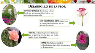 DESARROLLO DE LA FLOR
BOTÓN O CAPULLO: Siente que está al
borde de grandes cambios. Sujeto con
potencial por desarrollar.
SEMI ABIERTA (TIPO COPA): La persona
se encuentra atravesando por un
proceso de cambio.
ABIERTA: Indican la plenitud de la vida
de la persona. Siente que sus metas
están siendo alcanzadas
MARCHITA: Falta de vitalidad,
indicadores de depresión, desesperanza
o desesperación.
 