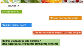 ENCUESTA
Describe al rosal:
¿De que color son las rosas?
¿Cuántas espinas tiene?
¿Dónde se encuentra el rosal? Describe el lugar
¿Cuál es la estación en este momento?
¿Qué sucede con el rosal cuando cambian las estaciones
 