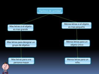 Hipótesis de cantidad
Mas letras para designar un
grupo de objetos
Menos letras si el objeto
es mas pequeñoMas letras si el objeto
es mas grande
Menos letras para un
objeto único
Mas letras para una
persona mayor
Menos letras para un
niño.
 