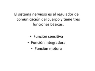 El sistema nervioso es el regulador de
comunicación del cuerpo y tiene tres
funciones básicas:
• Función sensitiva
• Función integradora
• Función motora
 