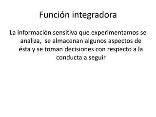 Función integradora
La información sensitiva que experimentamos se
analiza, se almacenan algunos aspectos de
ésta y se toman decisiones con respecto a la
conducta a seguir
 