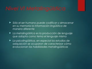Nivel VI Metalingüística 
 Sólo el ser humano puede codificar y almacenar 
en su memoria la información lingüística de 
manera diferente 
 La metalingüística es la producción de lenguaje 
que adopta como tema el lenguaje mismo 
 La psicolingüística, en especial los estudios de 
adquisición se ocuparon de caracterizar cómo 
evolucionan las habilidades metalingüísticas 
