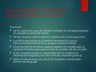 ¿Es el lenguaje un fenómeno 
específicamente humano? 
Sí porque 
 Se ha verificado que el cerebro humano se ha especializado 
en percibir la señal de habla 
 No se conoce cultura que no cuente con una lengua oral 
 Los niños pequeños no cometen errores en lo que a 
estructura gramatical de su lengua materna atañe 
 Evolutivamente el homo sapiens sapiens ha modificado su 
aparato fonador para pronunciar los sonidos de las vocales 
 El ser humano posee la capacidad de re-codificar la 
información lingüística en otro formato (metalingüística) 
 Niños en situaciones de privación lingüística desarrollan 
formas de lenguaje 
 