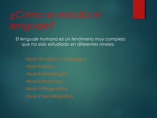 ¿Cómo se estudia el 
lenguaje? 
El lenguaje humano es un fenómeno muy complejo 
que ha sido estudiado en diferentes niveles: 
- Nivel I Fonético y fonológico 
- Nivel II Léxico 
- Nivel III Morfológico 
- Nivel III Sintáctico 
- Nivel IV Pragmático 
- Nivel V Metalingüístico 
 