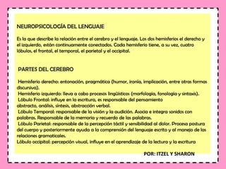 NEUROPSICOLOGÍA DEL LENGUAJE
Es la que describe la relación entre el cerebro y el lenguaje. Los dos hemisferios el derecho y
el izquierdo, están continuamente conectados. Cada hemisferio tiene, a su vez, cuatro
lóbulos, el frontal, el temporal, el parietal y el occipital.
PARTES DEL CEREBRO
Hemisferio derecho: entonación, pragmática (humor, ironía, implicación, entre otras formas
discursiva).
Hemisferio izquierdo: lleva a cabo procesos lingüísticos (morfología, fonología y sintaxis).
Lóbulo Frontal: influye en la escritura, es responsable del pensamiento
abstracto, análisis, síntesis, abstracción verbal.
Lóbulo Temporal: responsable de la visión y la audición. Asocia e integra sonidos con
palabras. Responsable de la memoria y recuerdo de las palabras.
Lóbulo Parietal: responsable de la percepción táctil y sensibilidad al dolor. Procesa postura
del cuerpo y posteriormente ayuda a la comprensión del lenguaje escrito y al manejo de las
relaciones gramaticales.
Lóbulo occipital: percepción visual, influye en el aprendizaje de la lectura y la escritura
POR: ITZEL Y SHARON
 