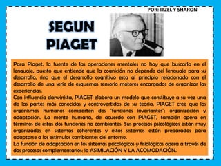 SEGUN
PIAGET
Para Piaget, la fuente de las operaciones mentales no hay que buscarla en el
lenguaje, puesto que entiende que la cognición no depende del lenguaje para su
desarrollo, sino que el desarrollo cognitivo esta al principio relacionado con el
desarrollo de una serie de esquemas sensorio motores encargados de organizar las
experiencias.
Con influencia darwinista, PIAGET elabora un modelo que constituye a su vez una
de las partes más conocidas y controvertidas de su teoría. PIAGET cree que los
organismos humanos comparten dos "funciones invariantes": organización y
adaptación. La mente humana, de acuerdo con PIAGET, también opera en
términos de estas dos funciones no cambiantes. Sus procesos psicológicos están muy
organizados en sistemas coherentes y estos sistemas están preparados para
adaptarse a los estímulos cambiantes del entorno.
La función de adaptación en los sistemas psicológicos y fisiológicos opera a través de
dos procesos complementarios: la ASIMILACIÓN Y LA ACOMODACIÓN.
POR: ITZEL Y SHARON
 