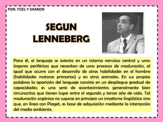 SEGUN
LENNEBERG
Para él, el lenguaje se asienta en un sistema nervioso central y unos
órganos periféricos que necesitan de unos procesos de maduración, al
igual que ocurre con el desarrollo de otras habilidades en el hombre
(habilidades motoras primarias) y en otros animales. En sus propias
palabras la aparición del lenguaje consiste en un despliegue gradual de
capacidades; es una serie de acontecimientos generalmente bien
circunscritos que tienen lugar entre el segundo y tercer año de vida. Tal
maduración orgánica no supone en principio un innatismo lingüístico sino
que, en línea con Piaget, es base de adquisición mediante la interacción
del medio ambiente.
POR: ITZEL Y SHARON
 