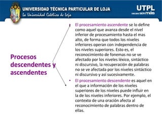 Procesos  descendentes y ascendentes El procesamiento ascendente  se lo define como aquel que avanza desde el nivel inferior de procesamiento hasta el mas alto, de forma que todos los niveles inferiores operan con independencia de los niveles superiores. Esto es, el reconocimiento de fonemas no se ve afectado por los niveles léxico, sintáctico ni discursivo, la recuperación de palabras no se ve afectada por los niveles sintáctico ni discursivo y así sucesivamente. El procesamiento descendente  es aquel en el que a información de los niveles superiores de los niveles puede influir en la de los niveles inferiores. Por ejemplo, el contexto de una oración afecta al reconocimiento de palabras dentro de ellas.  