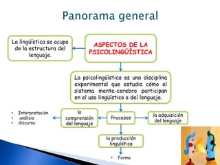 Panorama generalASPECTOS DE LA PSICOLINGÜÍSTICALa lingüística se ocupa de la estructura del lenguaje.La psicolingüística es una disciplina experimental que estudia cómo el sistema mente-cerebro participan en el uso lingüístico o del lenguaje.Interpretación