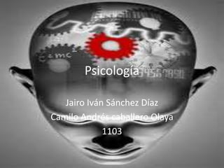 Psicología Jairo Iván Sánchez Díaz Camilo Andrés caballero Olaya  1103 