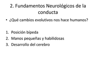 2. Fundamentos Neurológicos de la
conducta
• ¿Qué cambios evolutivos nos hace humanos?
1. Posición bípeda
2. Manos pequeñas y habilidosas
3. Desarrollo del cerebro
 