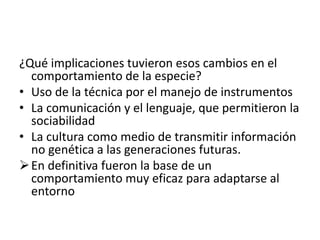 ¿Qué implicaciones tuvieron esos cambios en el
comportamiento de la especie?
• Uso de la técnica por el manejo de instrumentos
• La comunicación y el lenguaje, que permitieron la
sociabilidad
• La cultura como medio de transmitir información
no genética a las generaciones futuras.
En definitiva fueron la base de un
comportamiento muy eficaz para adaptarse al
entorno
 