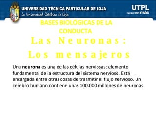 BASES BIOLÓGICAS DE LA CONDUCTA   Las Neuronas:  Los mensajeros Una  neurona  es una de las células nerviosas; elemento fundamental de la estructura del sistema nervioso. Está encargada entre otras cosas de trasmitir el flujo nervioso. Un cerebro humano contiene unas 100.000 millones de neuronas. 