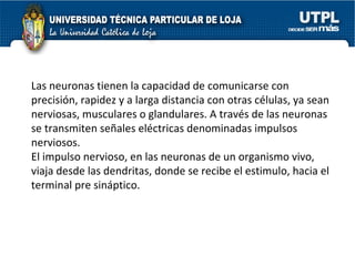 Las neuronas tienen la capacidad de comunicarse con precisión, rapidez y a larga distancia con otras células, ya sean nerviosas, musculares o glandulares. A través de las neuronas se transmiten señales eléctricas denominadas impulsos nerviosos. El impulso nervioso, en las neuronas de un organismo vivo, viaja desde las dendritas, donde se recibe el estimulo, hacia el terminal pre sináptico. 