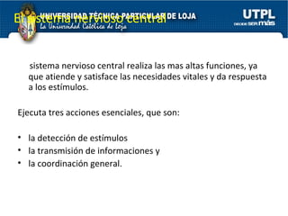 El  sistema nervioso central realiza las mas altas funciones, ya que atiende y satisface las necesidades vitales y da respuesta a los estímulos.  Ejecuta tres acciones esenciales, que son:  la detección de estímulos  la transmisión de informaciones y  la coordinación general.  El sistema nervioso central  