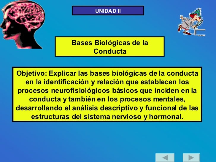 Psicología I Neuronas