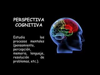 PERSPECTIVA
 COGNITIVA

Estudia           los
procesos mentales
(pensamiento,
percepción,
memoria, lenguaje,
resolución         de
problemas, etc.).
 
