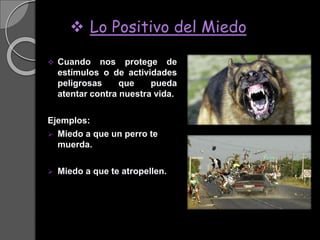  Lo Positivo del Miedo
 Cuando nos protege de
estímulos o de actividades
peligrosas que pueda
atentar contra nuestra vida.
Ejemplos:
 Miedo a que un perro te
muerda.
 Miedo a que te atropellen.
 