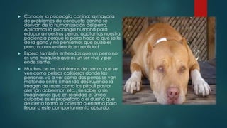  Conocer la psicología canina: la mayoría
de problemas de conducta canina se
derivan de la humanización del perro.
Aplicamos la psicología humana para
educar a nuestros perros, agotamos nuestra
paciencia porque le perro hace lo que se le
de la gana y no pensamos que quizá el
perro no nos entiende en realidad
 Espero también entiendas que un perro no
es una maquina que es un ser vivo y por
ende siente.
 Muchos de los problemas de perros que se
ven como peleas callejeras donde las
personas va a ver como dos perros se van
matando entre si han ido destruyendo la
imagen de razas como los pitbull pastor
alemán doberman etc., sin saber o sin
imaginarnos que en realidad el único
culpable es el propietario o el dueño que
de cierta forma lo adiestra o entrena para
llegar a este comportamiento absurdo.
 