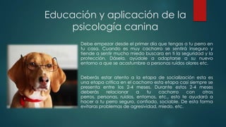 Educación y aplicación de la
psicología canina
Debe empezar desde el primer día que tengas a tu perro en
tu casa. Cuando es muy cachorro se sentirá inseguro y
tiende a sentir mucho miedo buscara en ti la seguridad y la
protección. Dásela, ayúdale a adaptarse a su nuevo
entorno a que se acostumbre a personas ruidos olores etc.
Deberás estar atento a la etapa de socialización esta es
una etapa critica en el cachorro esta etapa casi siempre se
presenta entre los 2-4 meses. Durante estos 2-4 meses
deberás relacionar a tu cachorro con otros
perros, personas, ruidos, entornos, etc., esto te ayudará a
hacer a tu perro seguro, confiado, sociable. De esta forma
evitaras problemas de agresividad, miedo, etc.
 