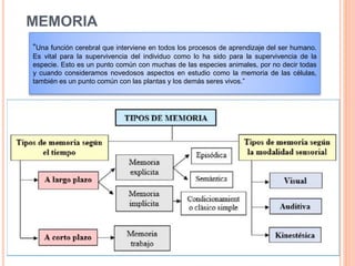 MEMORIA
“Una función cerebral que interviene en todos los procesos de aprendizaje del ser humano.
Es vital para la supervivencia del individuo como lo ha sido para la supervivencia de la
especie. Esto es un punto común con muchas de las especies animales, por no decir todas
y cuando consideramos novedosos aspectos en estudio como la memoria de las células,
también es un punto común con las plantas y los demás seres vivos.”
 