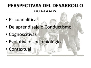 PERSPECTIVAS DEL DESARROLLO
HUMANO
• Psicoanalíticas
• De aprendizaje o Conductismo
• Cognoscitivas
• Evolutiva o socio biológica
• Contextual
 