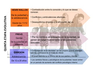 FREUD
Genital
De la pubertad en
adelante
• Por lo cambios atravesados en la pubertad, se
ponen en juego nuevamente a las pulsiones
sexuales.
HENRI WALLON
De la pubertad y
la adolescencia
Desde los 11/12
años
• Contradicción entre lo conocido y lo que se desea
conocer.
• Conflictos y ambivalencias afectivas.
• Desequilibrios dirigidos a la afirmación del yo.
QUINTAETAPAEVOLUTIVA
ERIKSON
Adolescencia
De 12 a 20 años
• Consolidación de la identidad: ijar los propios gustos, intereses,
valores y principios es el modo de crecer.
• El joven delimita su sí mismo del de sus padres y familia
• Los cambios físicos y psicológicos de la pubertad, hacen entrar
en un periodo de aumento del conflicto psicológico interno
 