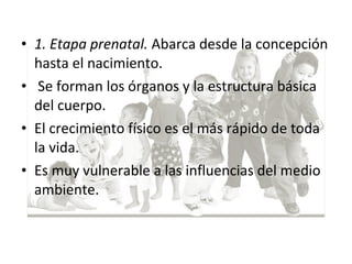 • 1. Etapa prenatal. Abarca desde la concepción
hasta el nacimiento.
• Se forman los órganos y la estructura básica
del cuerpo.
• El crecimiento físico es el más rápido de toda
la vida.
• Es muy vulnerable a las influencias del medio
ambiente.
 