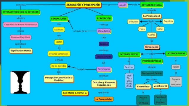 Psicología de la percepción los tres parciales