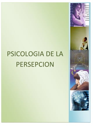 PSICOLOGIA DE LA
   PERSEPCION
 