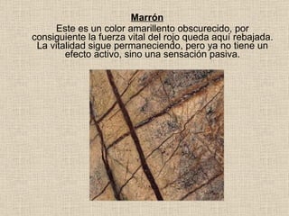 Marrón Este es un color amarillento obscurecido, por consiguiente la fuerza vital del rojo queda aquí rebajada. La vitalidad sigue permaneciendo, pero ya no tiene un efecto activo, sino una sensación pasiva. 