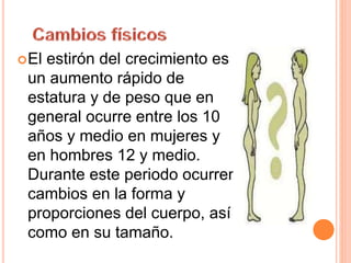 El estirón del crecimiento es
un aumento rápido de
estatura y de peso que en
general ocurre entre los 10
años y medio en mujeres y
en hombres 12 y medio.
Durante este periodo ocurren
cambios en la forma y
proporciones del cuerpo, así
como en su tamaño.
 